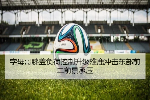 字母哥膝盖负荷控制升级雄鹿冲击东部前二前景承压
